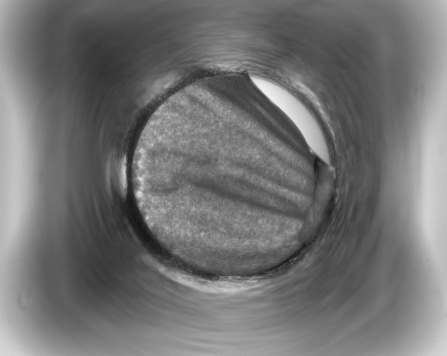 X0000084520020200703161556