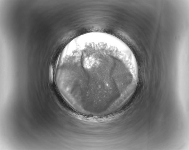 X0000084520022200703161556