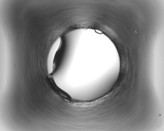 X0000084520025200703161556