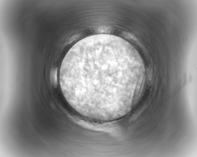 X0000084520028200703161556