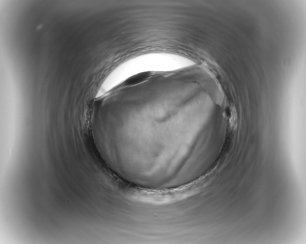 X0000084520029200703161556