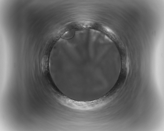 X0000084520030200703161556