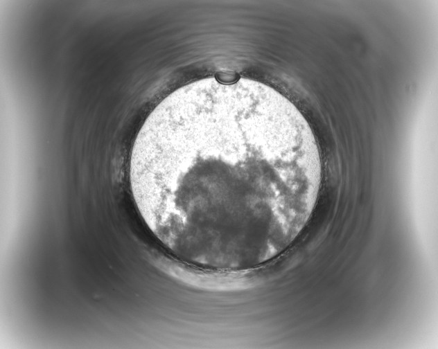 X0000084520032200703161556