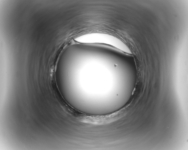 X0000084520033200703161556