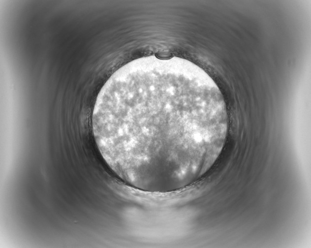 X0000084520034200703161556