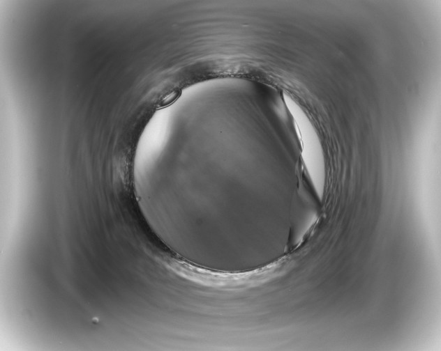 X0000084520035200703161556