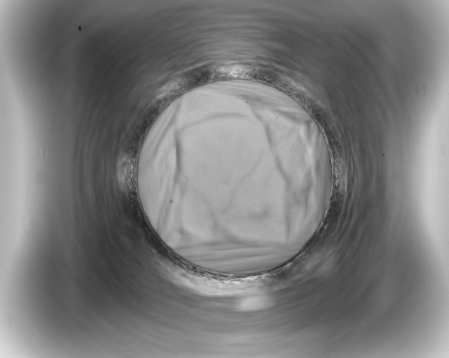 X0000084520036200703161556