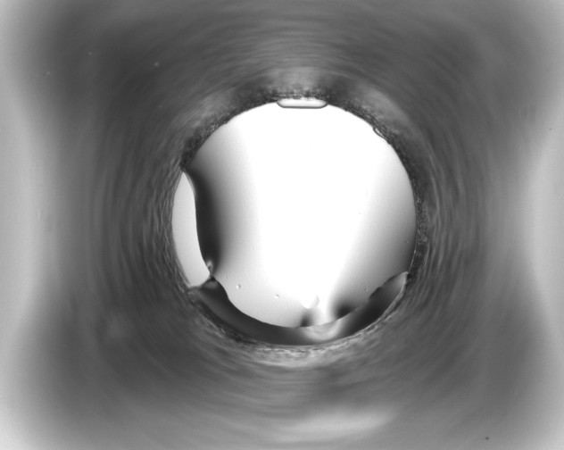 X0000084520037200703161556