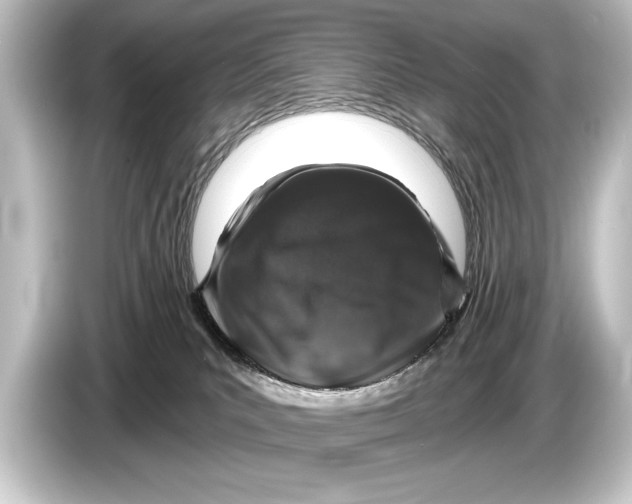 X0000084520039200703161556