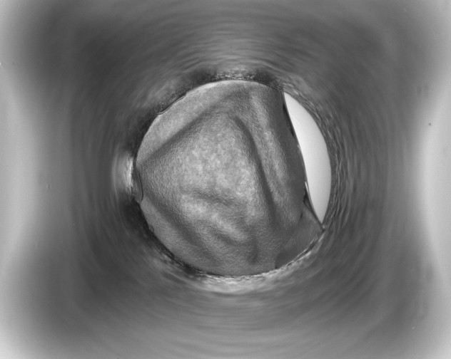 X0000084520041200703161556