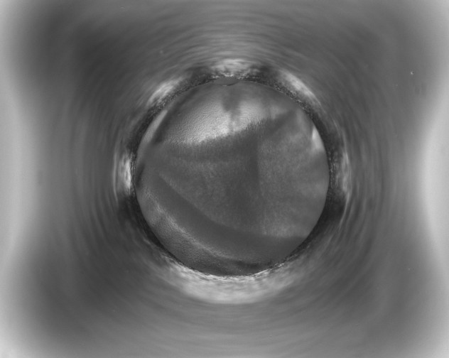 X0000084520042200703161556