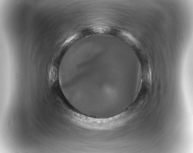 X0000084520043200703161556