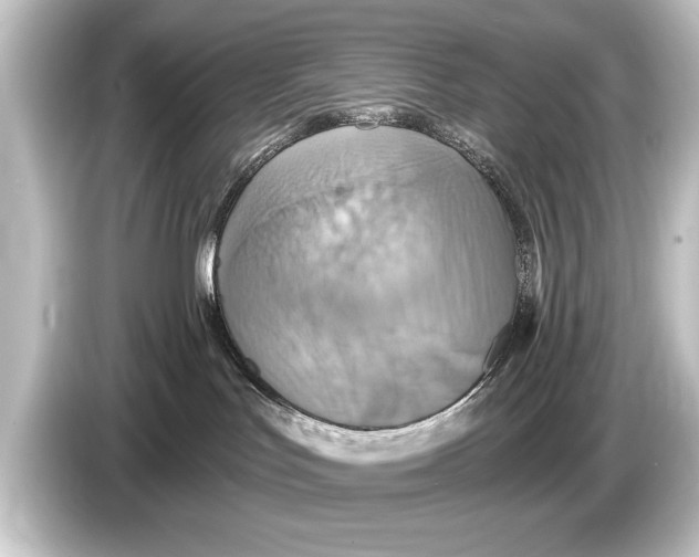 X0000084520047200703161556