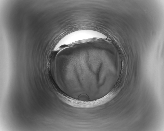 X0000084520048200703161556