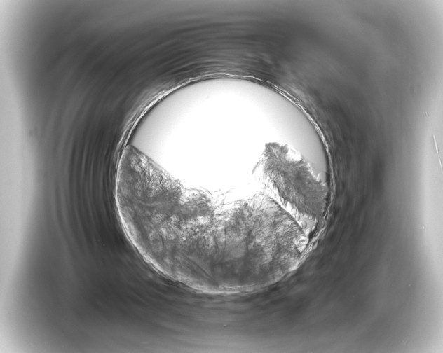 X0000084520049200703161555