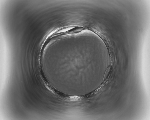 X0000084520050200703161555