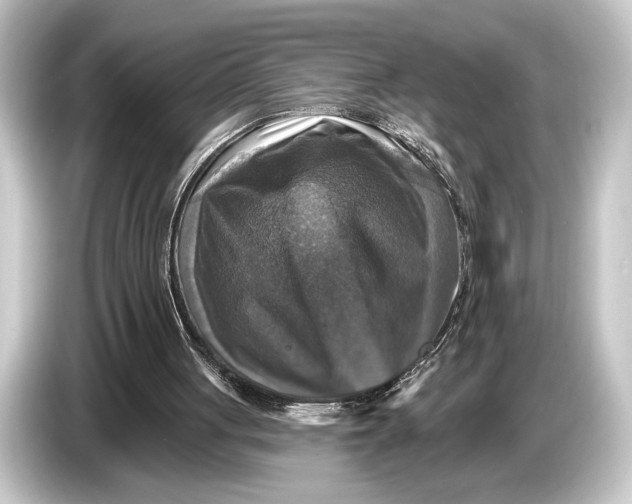 X0000084520051200703161555