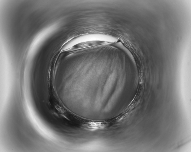 X0000084520052200703161555