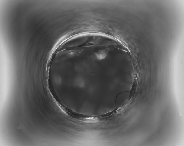 X0000084520053200703161555