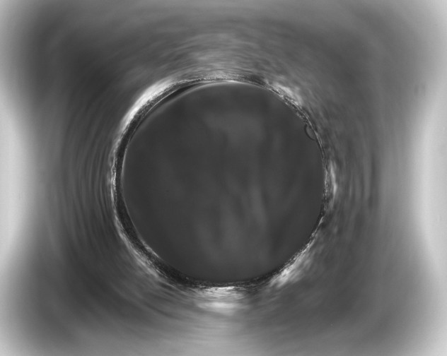 X0000084520054200703161555