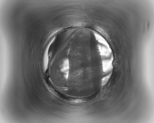 X0000084520058200703161555