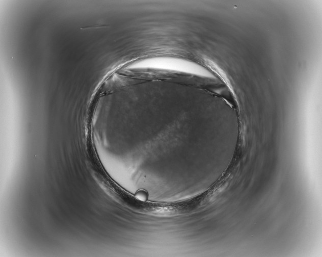 X0000084520059200703161555