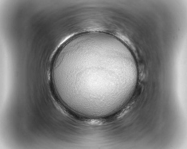 X0000084520060200703161555