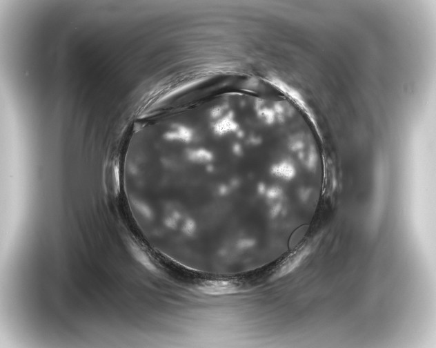 X0000084520061200703161555