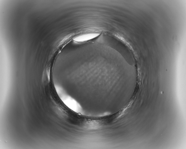 X0000084520062200703161556