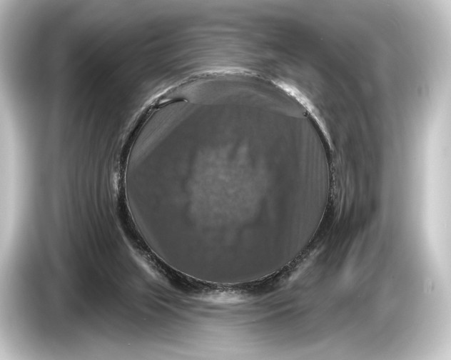 X0000084520063200703161556