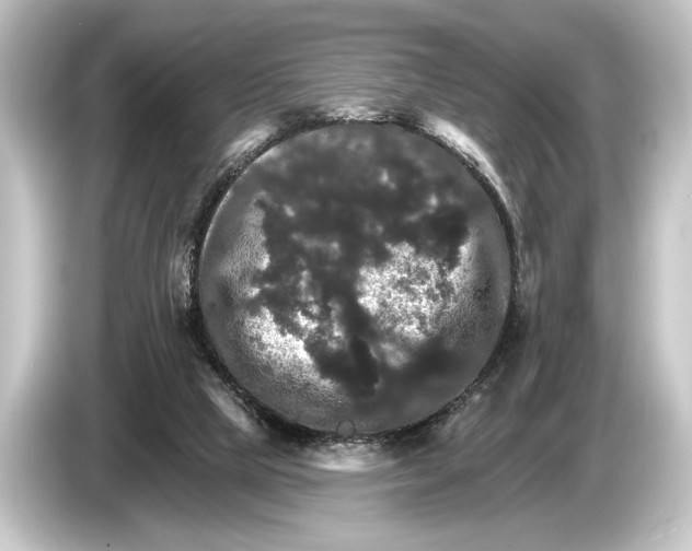 X0000084520065200703161556