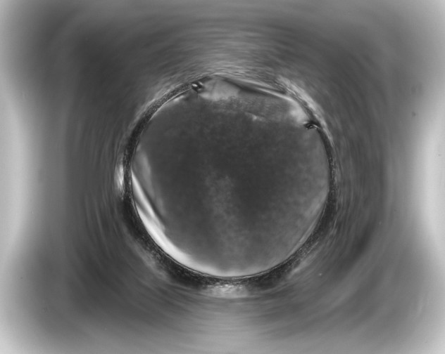 X0000084520067200703161556