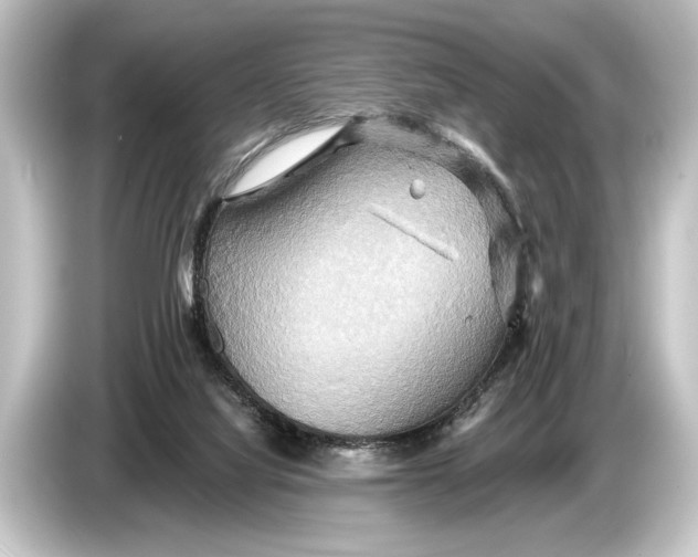 X0000084520068200703161556