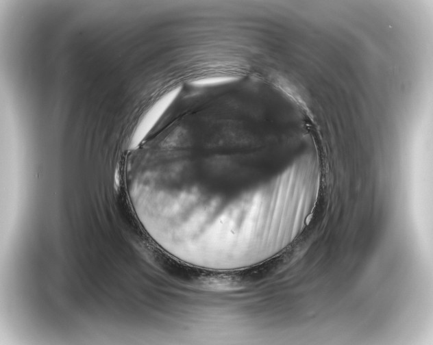 X0000084520069200703161556