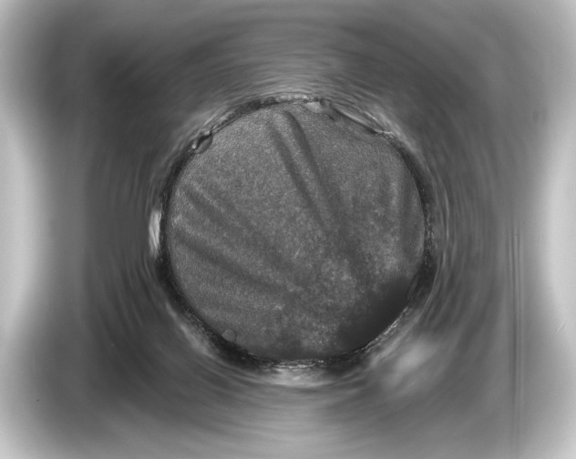 X0000084520070200703161556