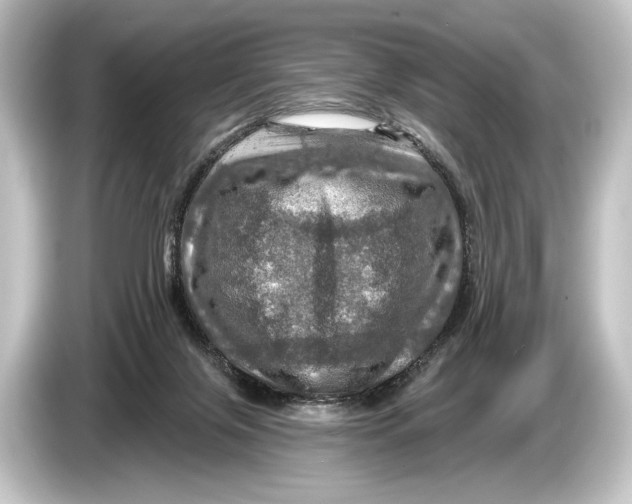 X0000084520071200703161556