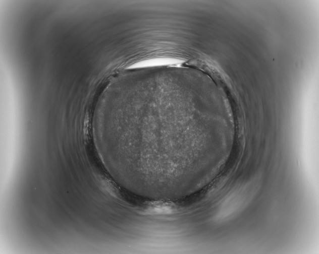 X0000084520073200703161556