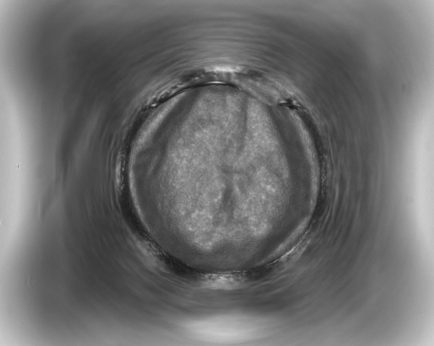 X0000084520074200703161556