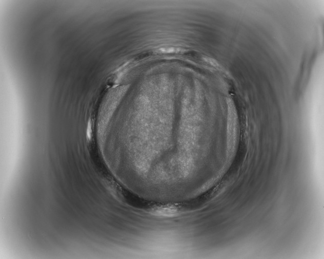 X0000084520075200703161556