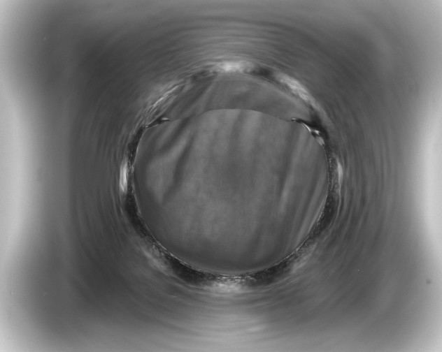 X0000084520076200703161556