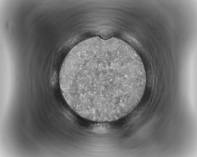 X0000084520077200703161556