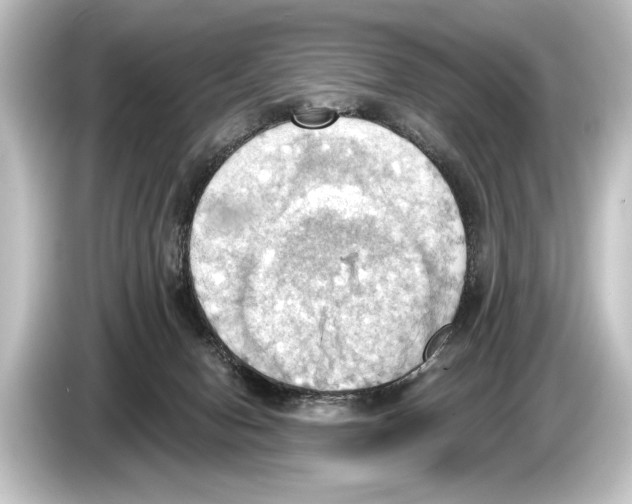 X0000084520078200703161556