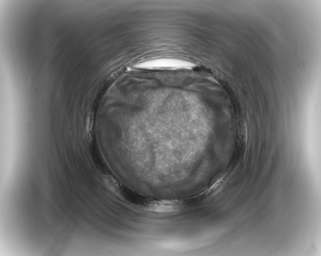 X0000084520082200703161556