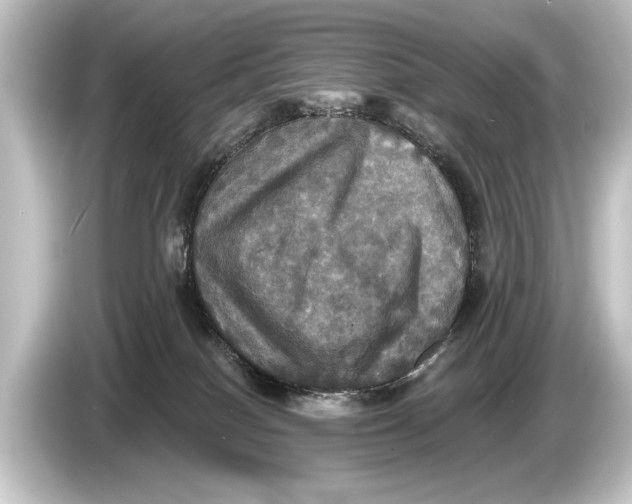 X0000084520086200703161556