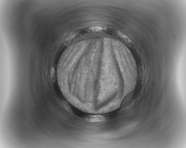 X0000084520087200703161556