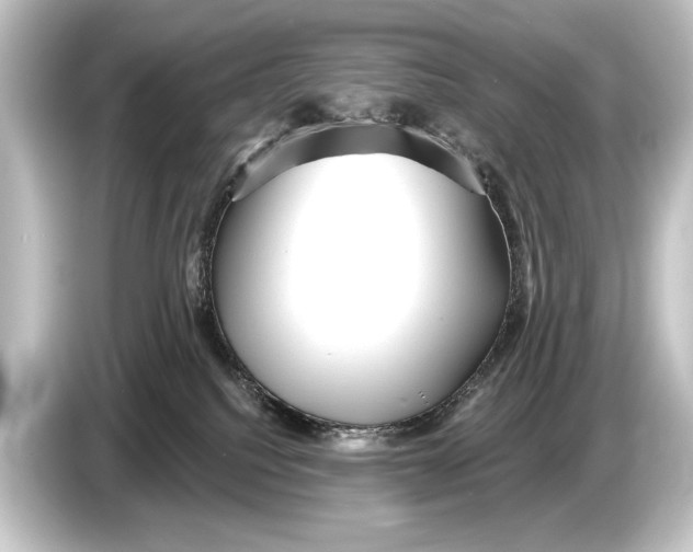 X0000084520088200703161556