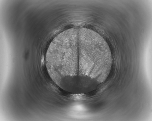 X0000084520089200703161556