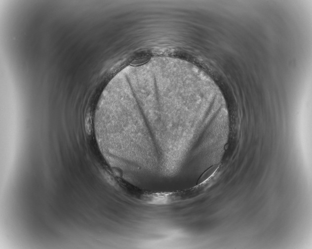 X0000084520090200703161556