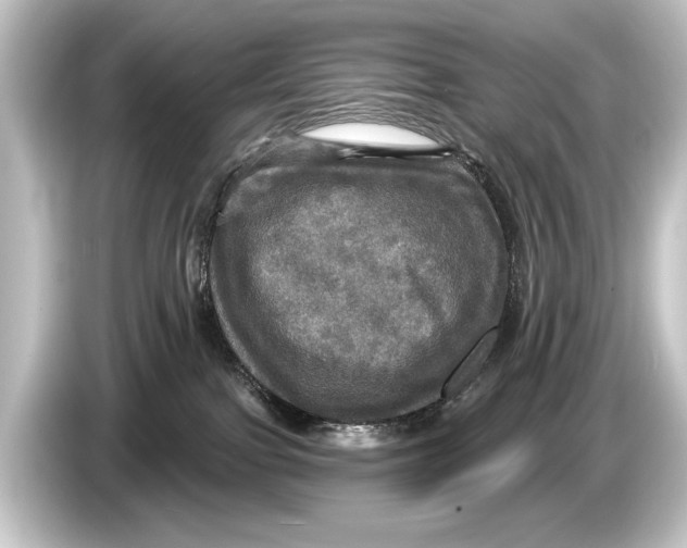 X0000084520091200703161556