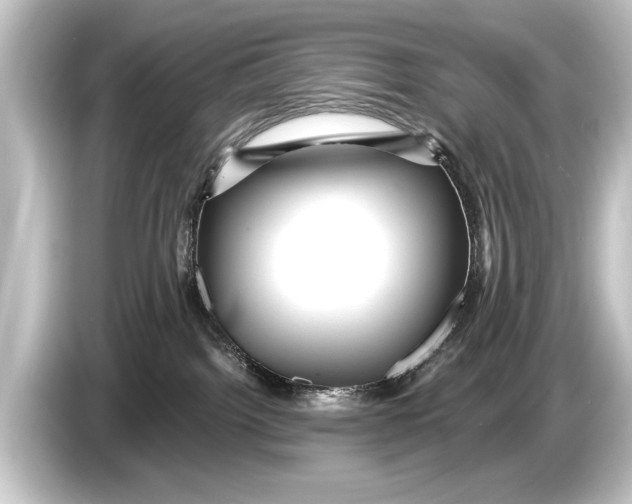 X0000084520092200703161556